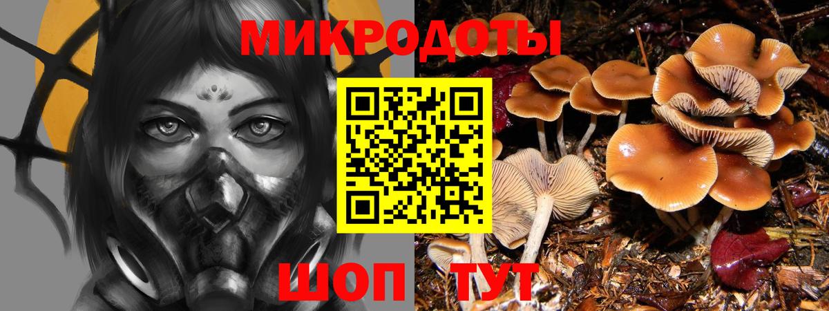 Галлюциногенные грибы Psilocybe  где найти наркотики  Вход с VPN  Анжеро-Судженск  Галлюциногенные грибы ЛСД 