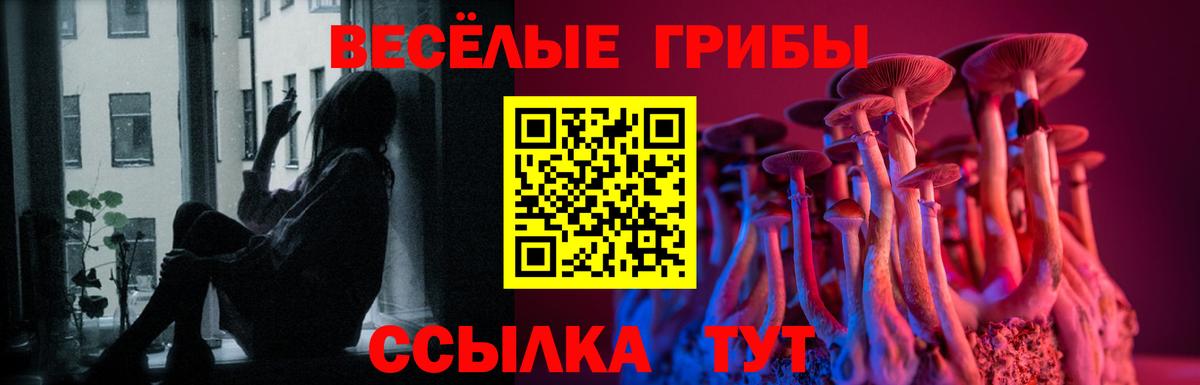 Галлюциногенные грибы Magic Shrooms Анжеро-Судженск